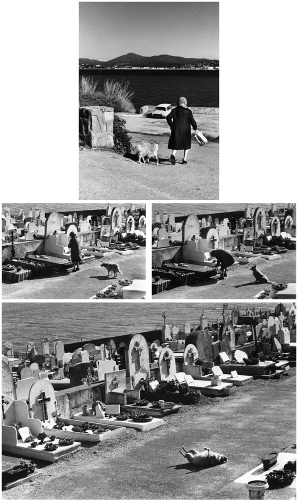 serie foto Elliot Erwitt cimitero Saint Tropez (Francia)