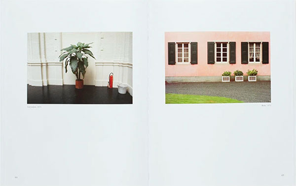 foto Luigi Ghirri Kodachrome pianta casa