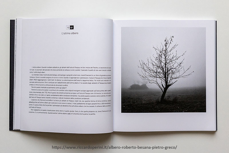 L'ultimo albero (dal libro L'albero di Roberto Besana e Pietro Greco)