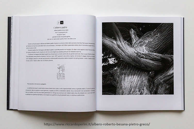 L'albero padre (dal libro L'albero di Roberto Besana e Pietro Greco)