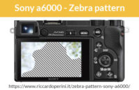 zebra pattern motivo zebrato Sony Alpha a6000